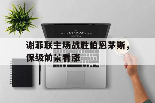 谢菲联主场战胜伯恩茅斯，保级前景看涨